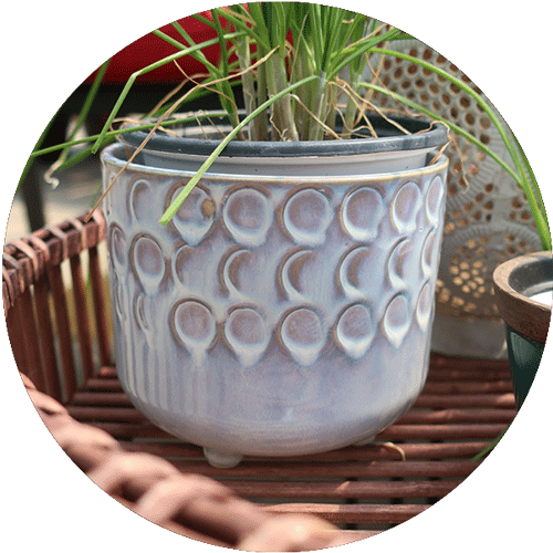 A light blue plant pot with an herb inside.